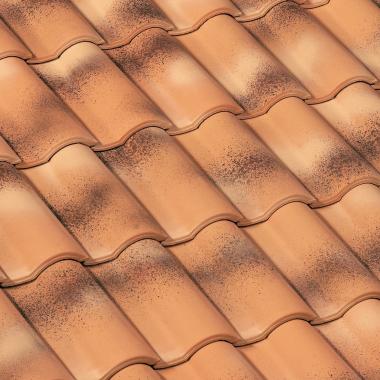 Керамическая черепица Braas Roman 13 28,0*44,00 бежевый с патиной