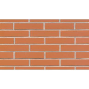 Клинкерная плитка Feldhaus Klinker R220