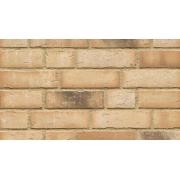 Клинкерная плитка Feldhaus Klinker R756 mit