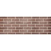 Керамейя клинкерный кирпич рустика гранит 32 ПР-1 36% (250х120х65)