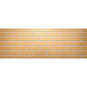 Керамейя клинкерный кирпич янтарь ПР-1 1/2 28% (250х60х65)